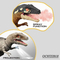 Walking Animal Simulation Small Dinosaur Remote Control Models Toys