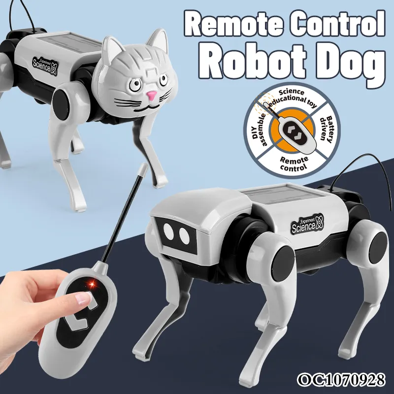 Wholesale Intelligent New Product 2in1 Kids Plastic Electronic Realistic Remote Control Dog Robot Toys