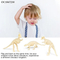12PCS Kids Educational Toys Learning Children Digging up Dinosaur Eggs Fossil Dinosaur Skeleton Model Toy