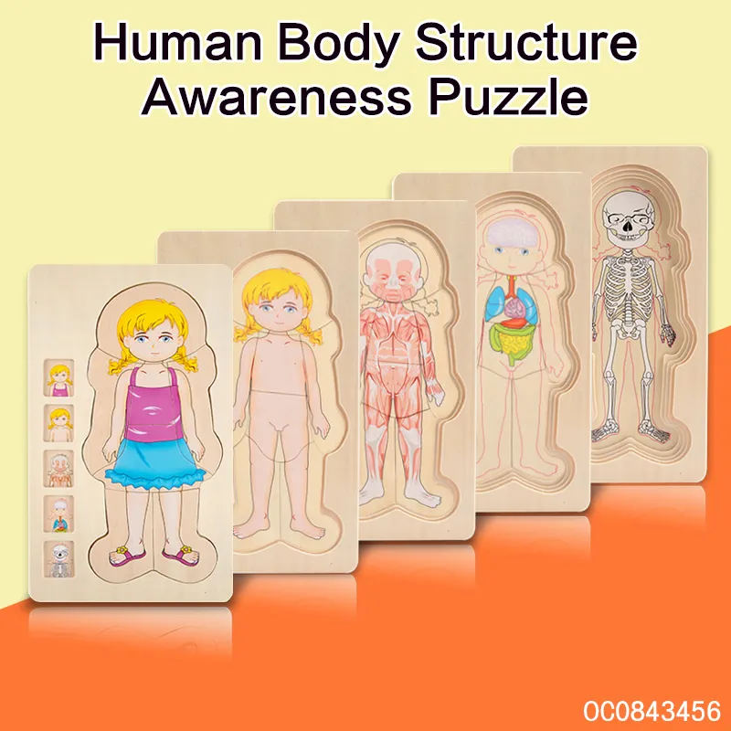 Multi Layer Montessori Human Body Structure Picture Children Educational Wood Jigsaw Puzzle Toy for Kids