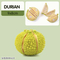 Wholesale 8 Pieces Mini Early Educational Simulated Fruit Vegetables Fruit Pretend Play Kitchen Plastic Food Cutting Toy