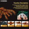 Wholesale Funny Remote Control Spider Plastic Animal Simulation Toys RC for Kids