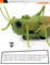 Wholesale Plastic Realistic Insects Model Simulation Infrared Remote Control Electric Plastic Toy