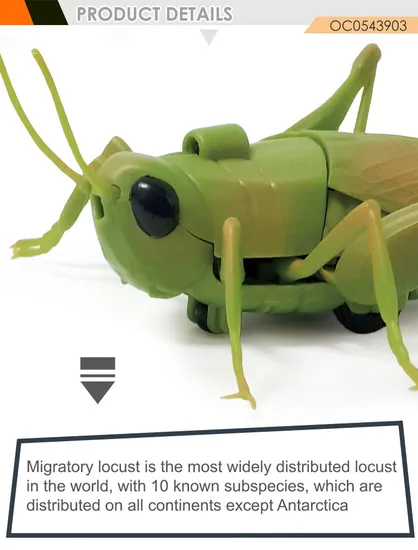 Wholesale Plastic Realistic Insects Model Simulation Infrared Remote Control Electric Plastic Toy