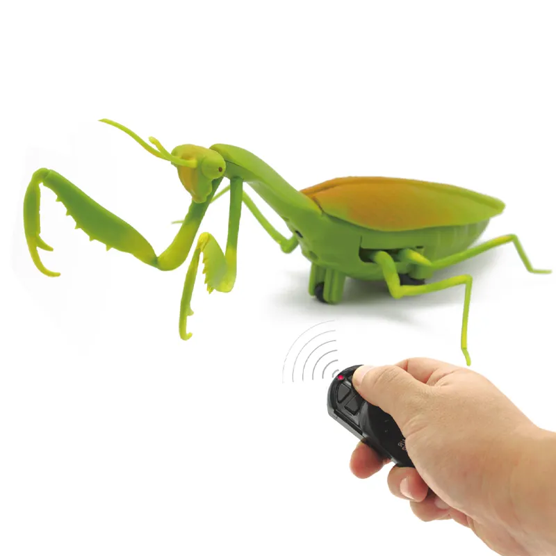 Wholesale Plastic 3D Models Remote Control Crawling Insect Remote Control Animal Toy