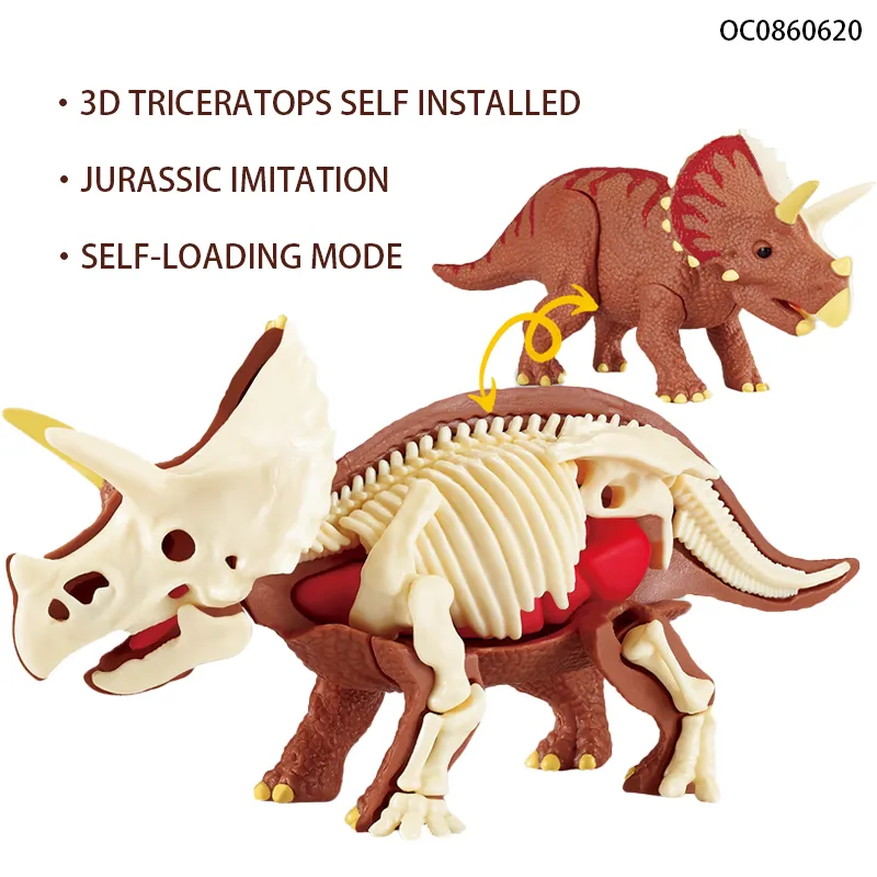 Game DIY Self -Assembled 3D Simulation Dinosaur Skeleton Toy for Preschool