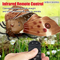 Wholesale Lighted up Interactive Model Mini Remote Control RC Flying Insects Animal Toy