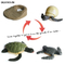 Wholesale Popular Montessori Educational 4 PCS Plastic Education Sea Animals Models Toys for Kids