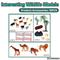 Wholesale Montessori Education Popular Cartoon Wild Animals Model Toy for Kids