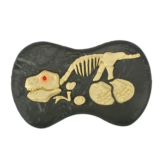 New Arrival 2.4G 5CH Remote Control RC Robot Dinosaur Toys with Light Sound