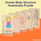 Multi Layer Montessori Human Body Structure Picture Children Educational Wood Jigsaw Puzzle Toy for Kids