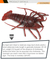 Wholesale Remote Control Plastic Toy Sea World Animal RC Toys