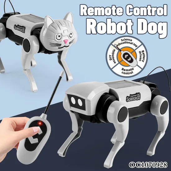 Wholesale Intelligent New Product 2in1 Kids Plastic Electronic Realistic Remote Control Dog Robot Toys