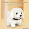 Wholesale Pet Creative Custom Stuffed Animals Electrical Plush Dog Toys for Kid