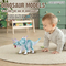Styracosaurus Cognitive Educational Toys 3D Animal Collectable Simulation Realistic 4 Inch PVC Solid Dinosaur for Kids Boys
