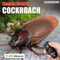 Wholesale Funny RC Plastic Realistic Insects Infrared Remote Control Animal Toy for Boys