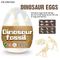 12PCS Kids Educational Toys Learning Children Digging up Dinosaur Eggs Fossil Dinosaur Skeleton Model Toy